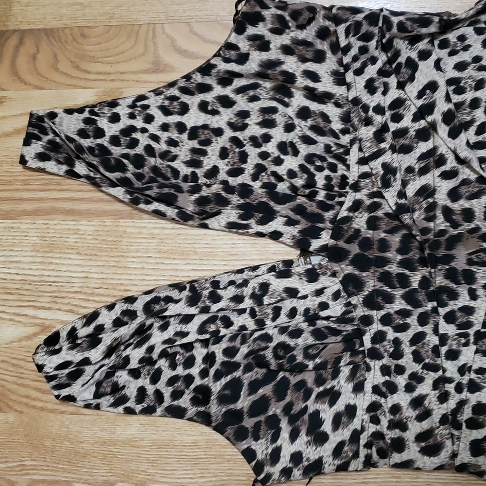 Animal Print Plus Size Dress - 2X